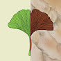 Ginkgo Traces YouTube channel thumbnail
