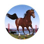 Bay Area Equestrian Network YouTube channel thumbnail