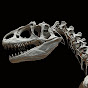 ExtinctZoo  YouTube channel thumbnail