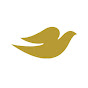 Dove US YouTube channel thumbnail