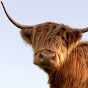 VisitScotland YouTube channel thumbnail