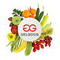GELGOOG Fruit Vegetable Machinery  YouTube channel thumbnail