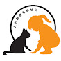 にゃんずはうす 長浜の保護猫カフェ YouTube channel thumbnail