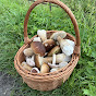 UK Wildcrafts YouTube channel thumbnail