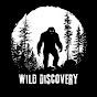 Wild Discovery YouTube channel thumbnail