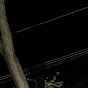 decay YouTube channel thumbnail