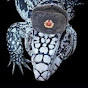 Silevn Lizard YouTube channel thumbnail