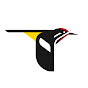 Cornell Lab of Ornithology YouTube channel thumbnail