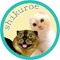 シクロエの家 YouTube channel thumbnail