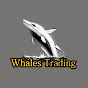 웨일즈 트레이딩 - (Whales Trading)  YouTube channel thumbnail