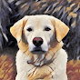 GeoBeats Animals YouTube channel thumbnail