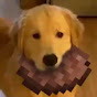 PITHOP MEMES YouTube channel thumbnail