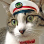 トラ猫 鉄道ちゃんねる/Travel_Cat YouTube channel thumbnail