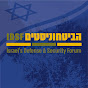 IDSF - Israel's Defense and Security Forum YouTube channel thumbnail