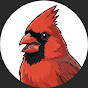 Backyard Bird Mind YouTube channel thumbnail