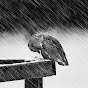 Meditation Math YouTube channel thumbnail