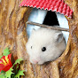 The Secret Life of my Hamster YouTube channel thumbnail