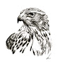 Unbiased Trading YouTube channel thumbnail