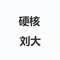 硬核刘大 YouTube channel thumbnail