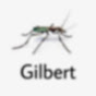 Gilbert YouTube channel thumbnail