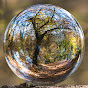 Nature Zilla YouTube channel thumbnail