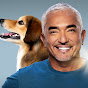 Cesar Millan YouTube channel thumbnail