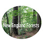 New England Forests YouTube channel thumbnail