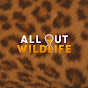 All Out Wildlife YouTube channel thumbnail
