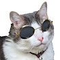 Charlatan Wonder YouTube channel thumbnail
