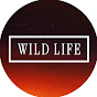 Wild Life Documentary YouTube channel thumbnail