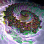 Trippy Everything YouTube channel thumbnail