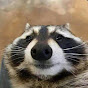 TheRaccoon YouTube channel thumbnail