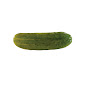 ManiXpickle YouTube channel thumbnail