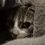 Cozy RPG Reviews YouTube channel thumbnail
