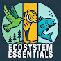 Ecosystem Essentials YouTube channel thumbnail