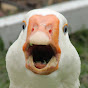 Dolan Darkest YouTube channel thumbnail