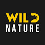 WILD NATURE - Nature animal documentary YouTube channel thumbnail