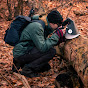 Naturefold YouTube channel thumbnail