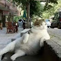 趴趴姐 YouTube channel thumbnail