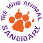The Wild Animal Sanctuary YouTube channel thumbnail