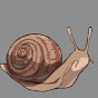 Salubrious Snail YouTube channel thumbnail