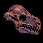 Fossil YouTube channel thumbnail