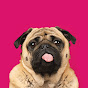 The Pet Collective YouTube channel thumbnail