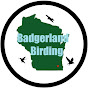 Badgerland Birding YouTube channel thumbnail