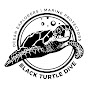 Black Turtle Dive YouTube channel thumbnail