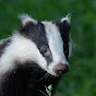 Nature Live Camera YouTube channel thumbnail