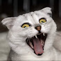 Sonyakisa8 TT YouTube channel thumbnail