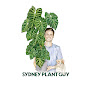 Sydney Plant Guy YouTube channel thumbnail