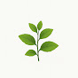 Homestead Roots YouTube channel thumbnail