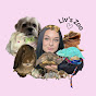 Olivia Kapinos YouTube channel thumbnail